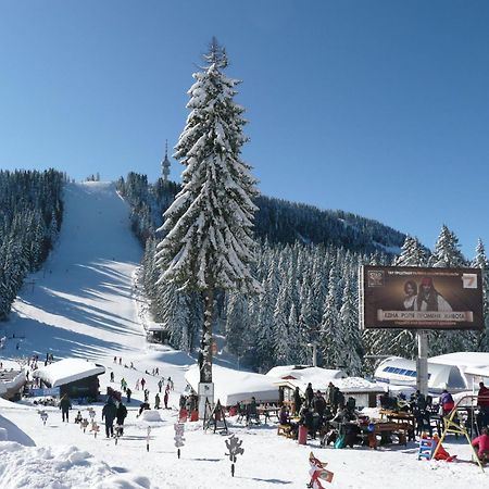 Aparthotel Pine Hills Пампорово Экстерьер фото